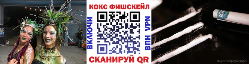 где можно купить   Южа  Кокаин Fish Scale 