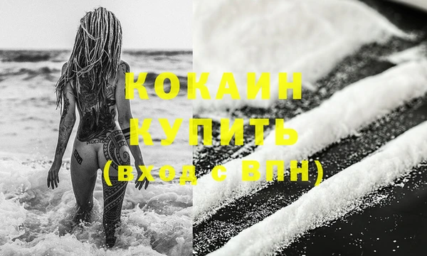 крисы Медвежьегорск