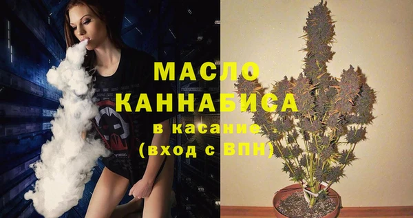 винт Мегион