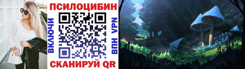 наркота  Южа  Галлюциногенные грибы мухоморы 